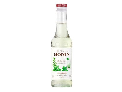 446 monin mojito mojito mint sirup 0 25 l 229513 0