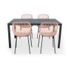 Moderní zahradní set Viking L + 4x židle GABY růžová (1)
