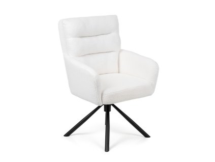 Jídelní židle ENZO bílá A