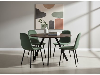 gyrus 120 hnědý + 4x židle marie zelená