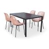 Moderní zahradní set Viking L + 4x židle GABY růžová (3)
