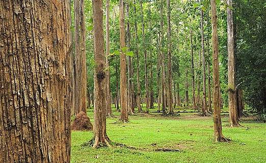 Zahradní teakový nábytek pro generace