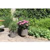 Květináč Rattan 3457075 C