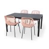 Moderní zahradní set Viking L + 4x židle GABY růžová (2)