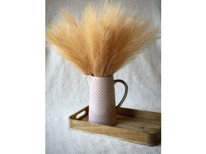 Pampová tráva světle hnědá