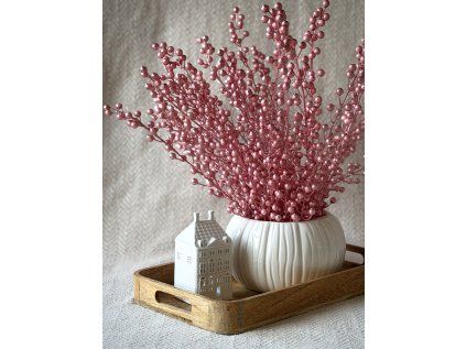 Větvička růžových bobulek