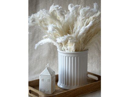 Boho pampová tráva