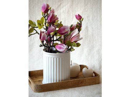 Větvička Magnolie