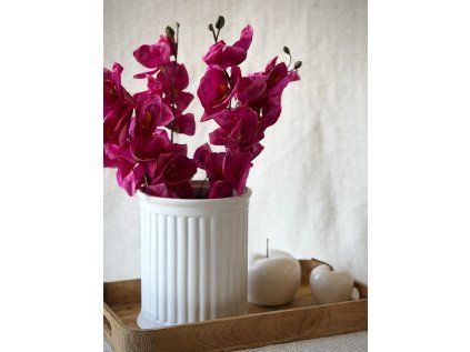 Větvička Orchideje