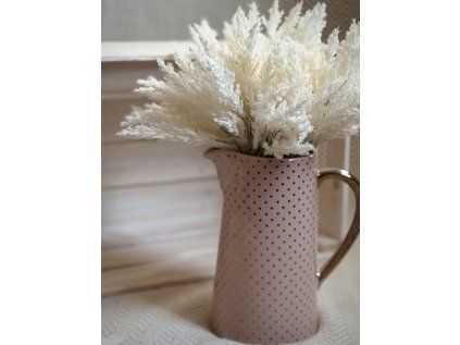 Větvička Čechravy