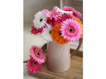Květina Gerbera