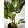 Umělá Monstera