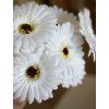 Květina Gerbera