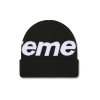 Supreme Big Logo Beanie