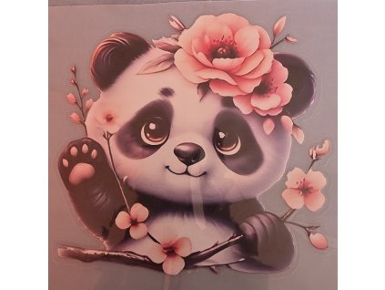 Panda nr2