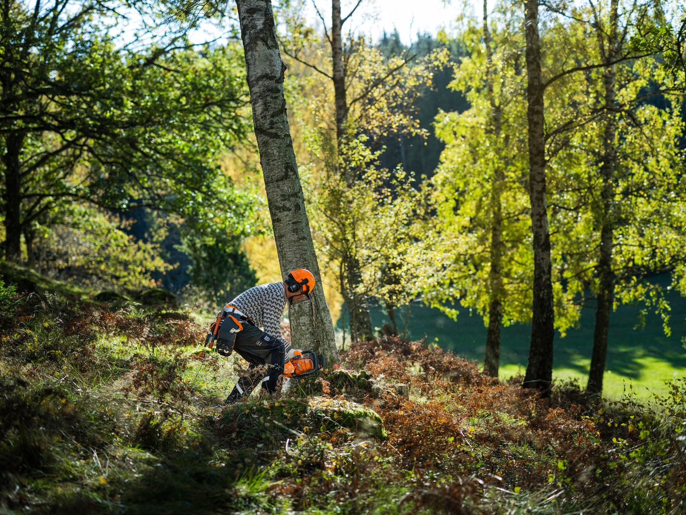 Husqvarna profesionál