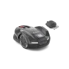 ap 250743