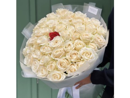 🤍 51 Heartbreaking White Roses