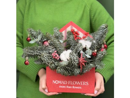 🎅🏻 Letter for Santa