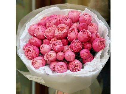 💗 Dream Peony Roses