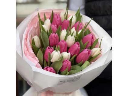 🌷 25 Pink and White Tulips