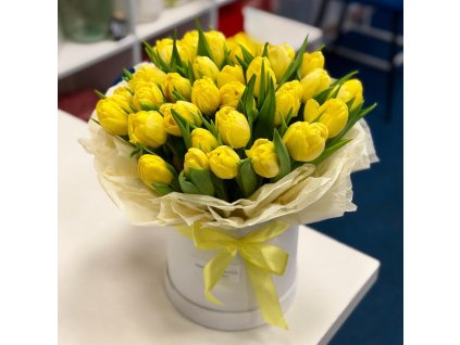 🌼 Yellow Tulips Box