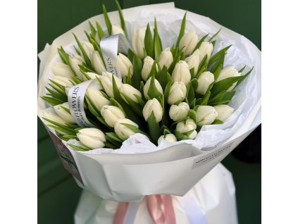 🌷 35 White Tulips