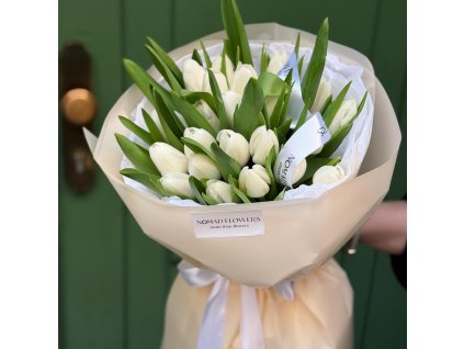🌷 25 White Tulips
