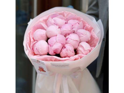 🌸 11 Pink Peonies