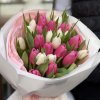 🌷 25 Pink and White Tulips