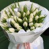 🌷 35 White Tulips