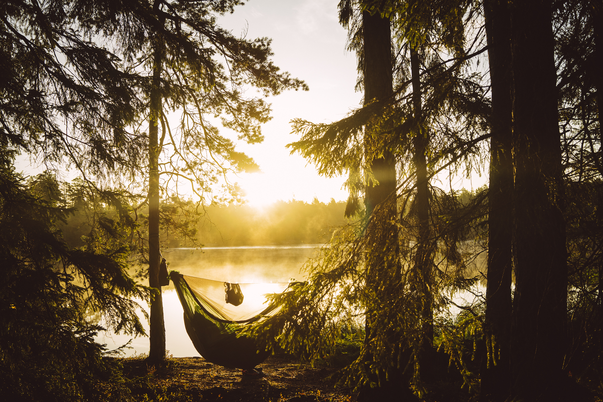 DRAKA-Lake-forest