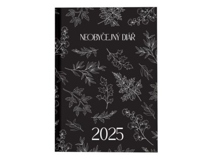 Barevný Neobyčejný diář 2025 - Louka (A5)