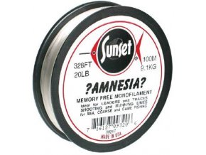 amnesia