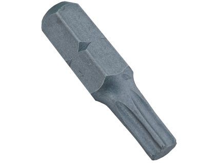 Bit TORX T40 LOBSTER 25 mm