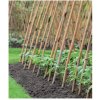 Zahradní tyč přírodní bambus 1,5 m sloupek 3 ks / bal
