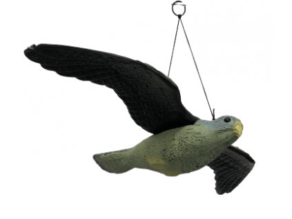 Bradas Plašič vtákov lietajúce sokol 3D maketa CTRL-BR104