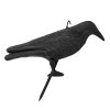 Havran plastová 3D maketa na plašenie vtákov Bradas CTRL-BR101