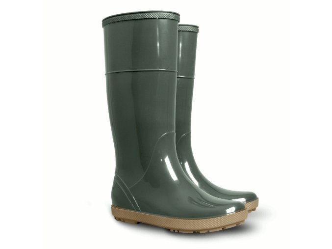 29974 1 demar hawai lady 0075 c olivova 36