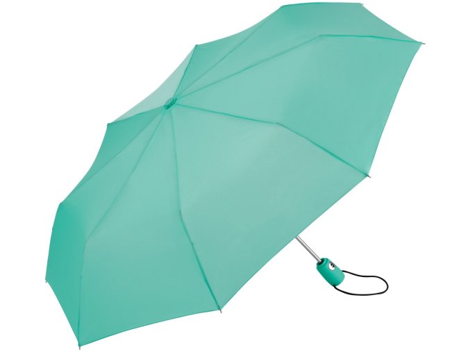 5460 mint 12711
