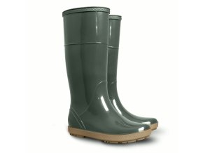 29974 1 demar hawai lady 0075 c olivova 36