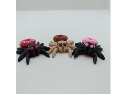 Pavouček Donutkový
