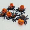 Pavouček Dýňový - barevny