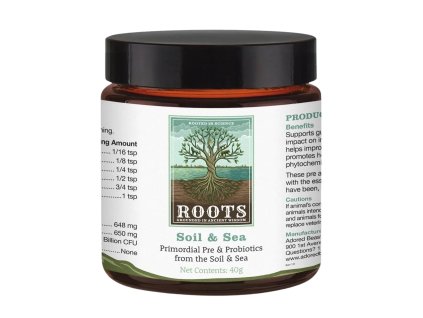 b1f07dbb 1eda 40e8 9307 914e50d2d293