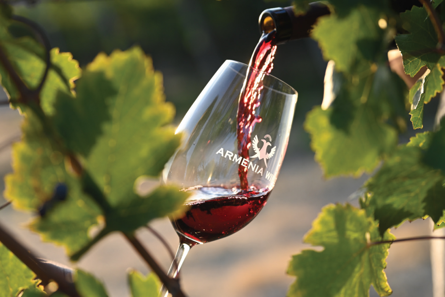 Arménie - kolébka vinařství