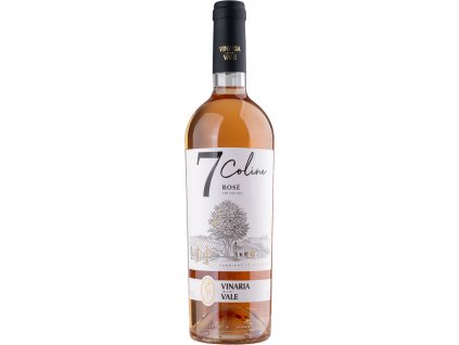 Vinaria Din Vale - Rosé - Cabernet Sauvignon, 2020  Moldavské růžové víno