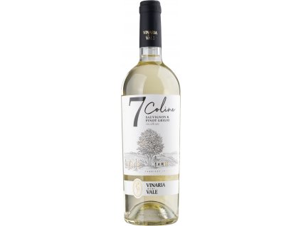Vinaria Din Vale - Sauvignon B. - Pinot Grigio, 2021  Moldavské bílé víno