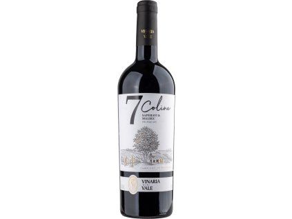 Vinaria Din Vale - Saperavi - Malbec, 2023  Moldavské bílé víno