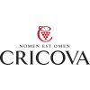 CricovaNew Logo
