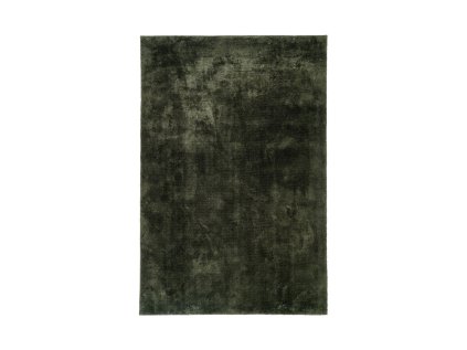 Koberec tmavě zelený, polyester, 160x230, 200x300 cm, Miami (Rozměry [cm] 200x300)